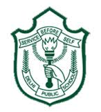 DPS Visakhapatnam Company logo